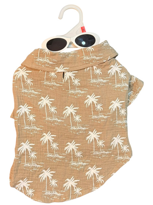 Playera con lentes Café Shades of Summer