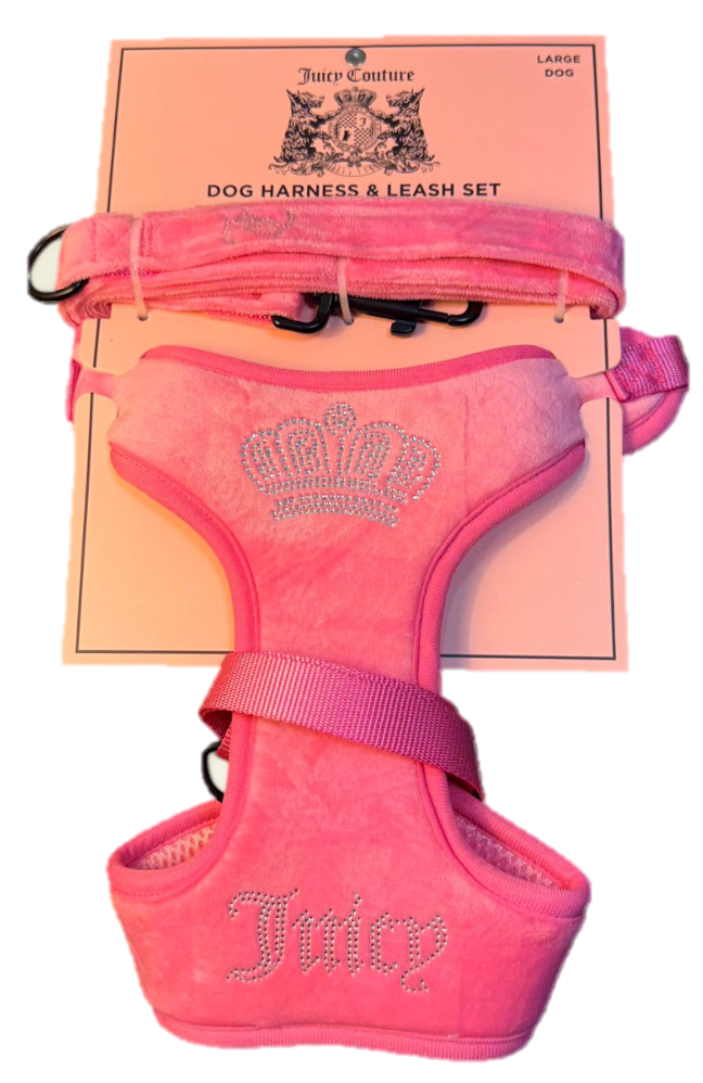 Set Pechera y Correa Rosa Juicy Couture