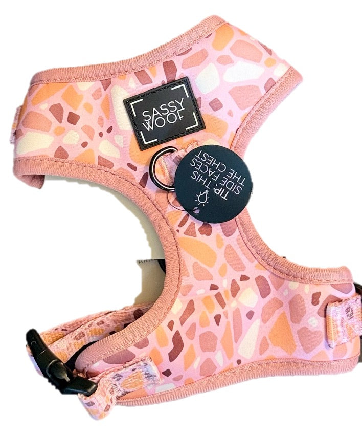 Pechera Rosa con Patrón Sassy Woof