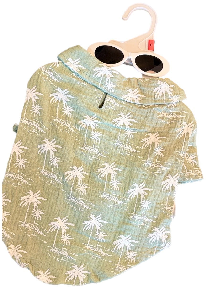 Playera con lentes S verde Shades of Summer